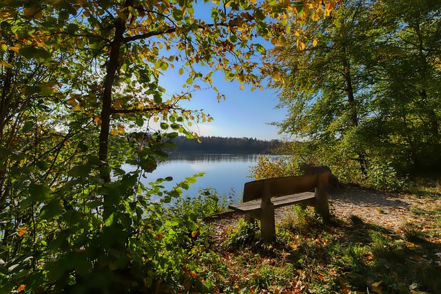 可能会采用 可能会采用