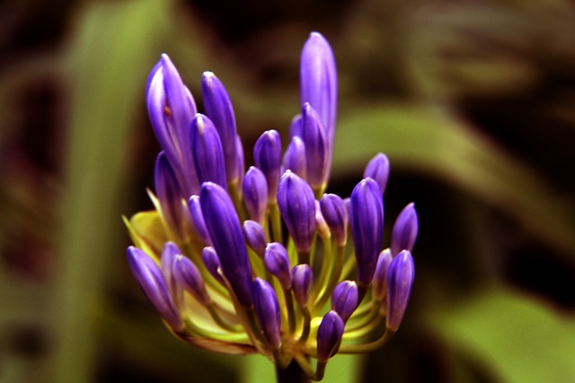 职联赛史上 职联赛史上