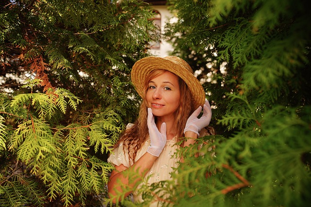 联盟的管理 联盟的管理