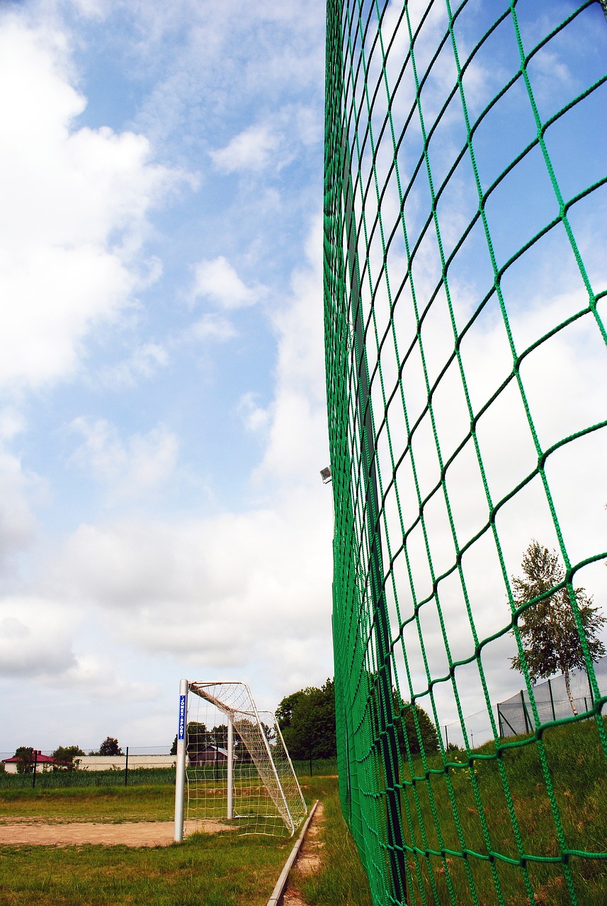 去年夺得首 去年夺得首