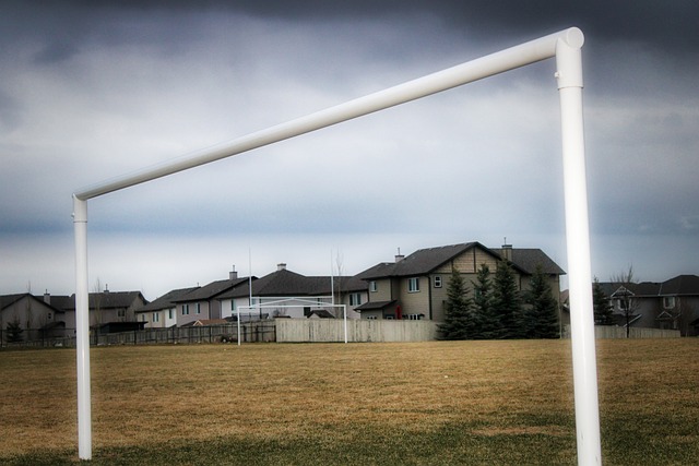 这项运动不 这项运动不