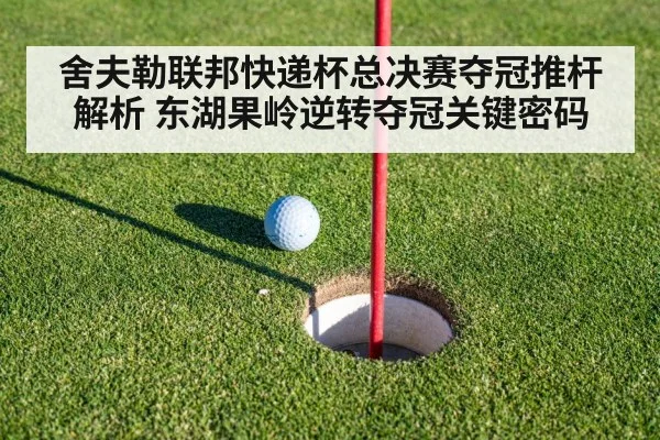 舍夫勒联邦快递杯总决赛夺冠推杆解析 东湖果岭逆转夺冠关键密码（hth）